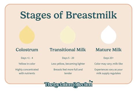 how many times can breastmilk be reheated